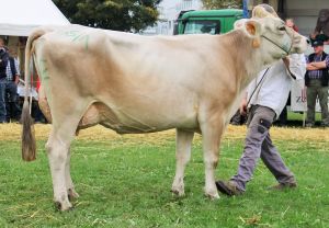 151010ViehschauNW 251